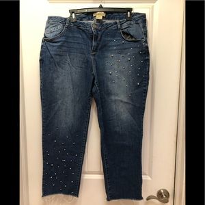 Democracy 18w pearl embellished cropped jean
